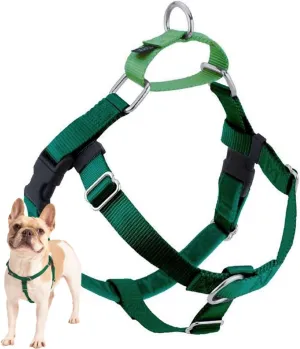 2 Hounds Design Freedom No Pull Dog Harness, Adjustable Harness, Easy Walking & Comfortable Control, Fits Small, Medium & Large Dogs, Solid Colors, Made in USA, 1" MD, Kelly Green