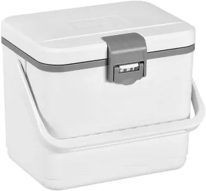 4.5L Insulated Portable Cooler for Beach, Small Cooler for Ice Lunch Car Refrigerator Box with Heavy Duty Handle Great for Picnic Camping Tailgating Groceries Boating