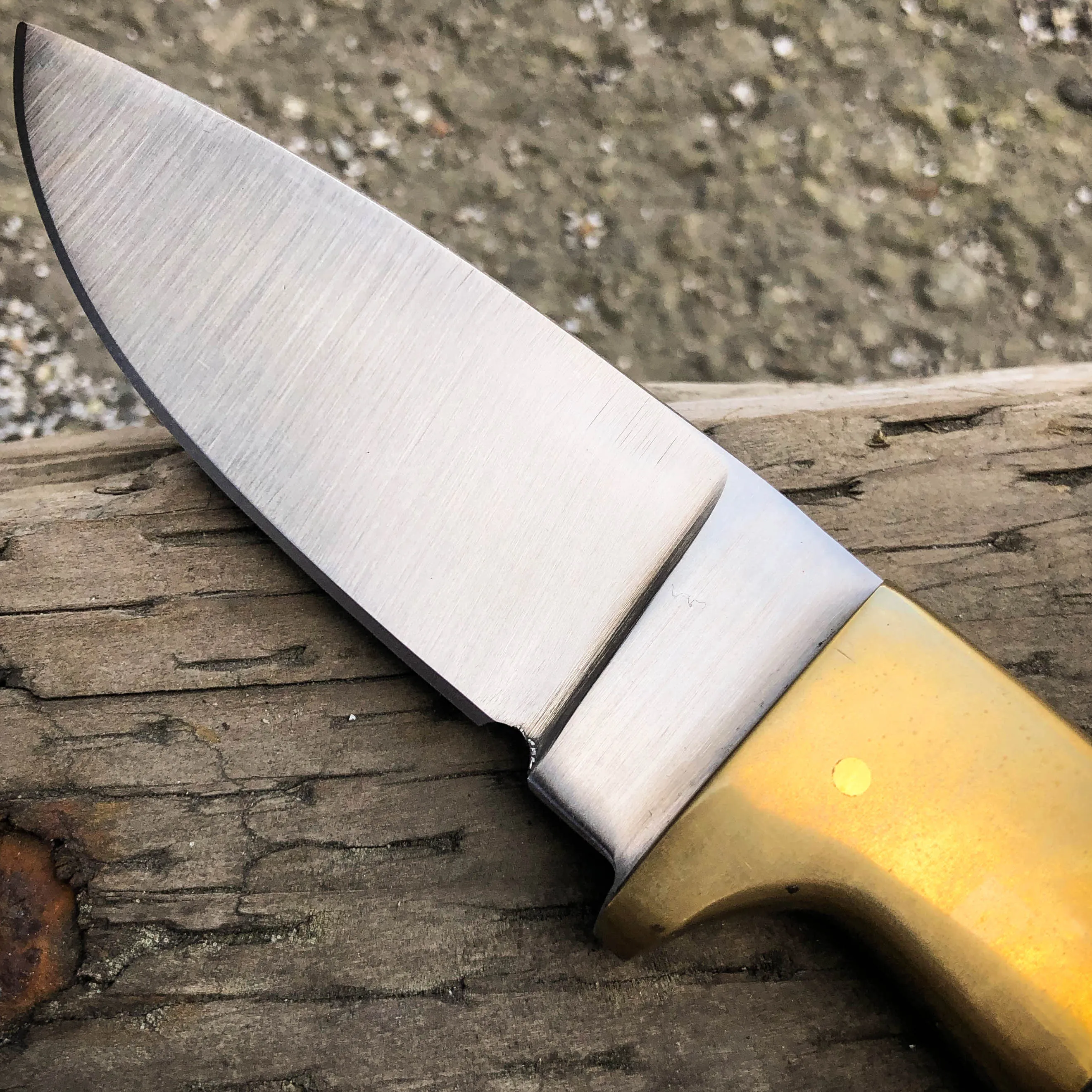 8" Clip Point Skinner Hunting Survival Skinning FIXED BLADE Knife Full Tang NEW