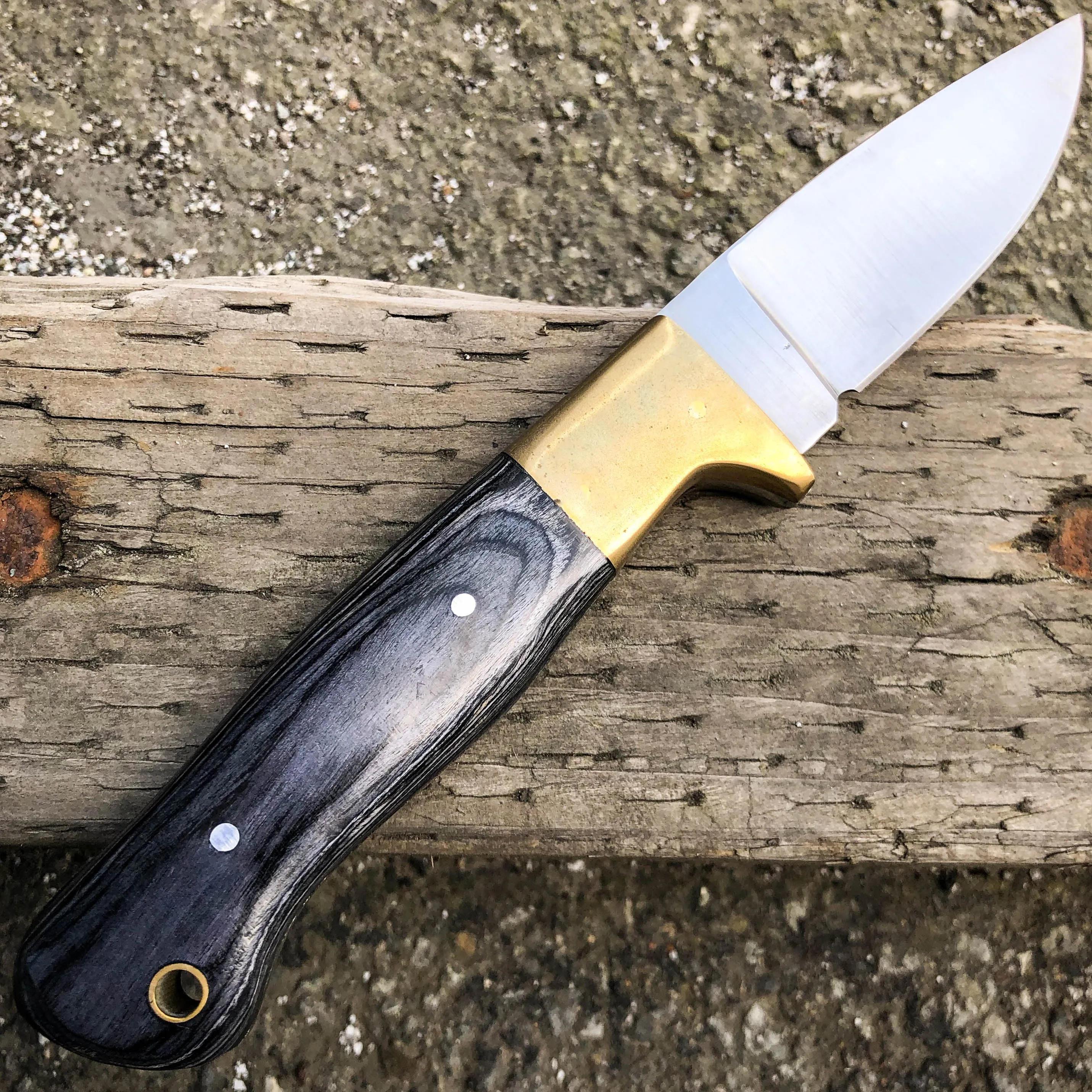 8" Clip Point Skinner Hunting Survival Skinning FIXED BLADE Knife Full Tang NEW