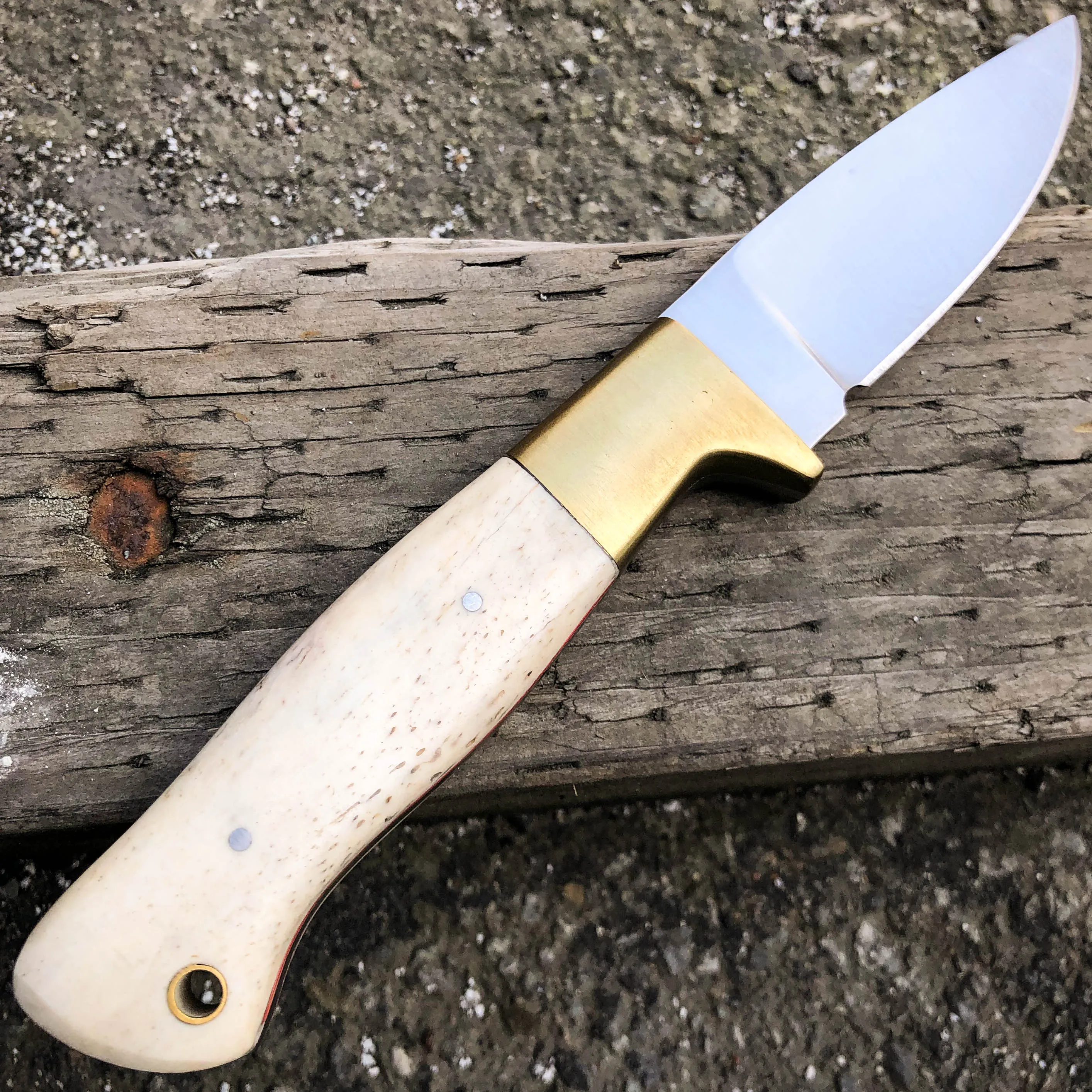 8" Clip Point Skinner Hunting Survival Skinning FIXED BLADE Knife Full Tang NEW