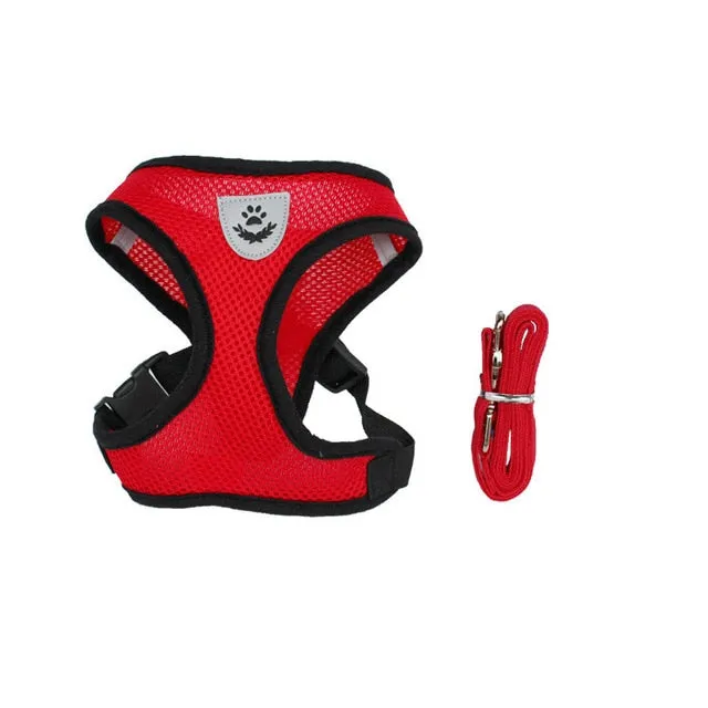 Adjustable Cat Or Dog Harness And Leash Set