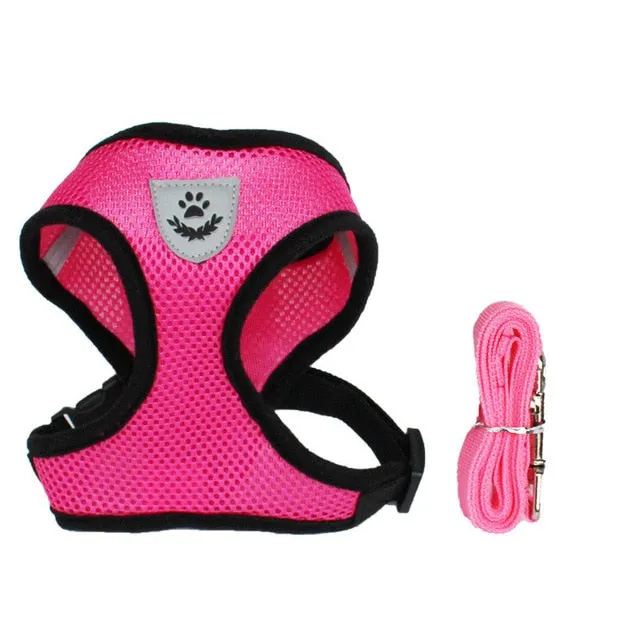 Adjustable Cat Or Dog Harness And Leash Set
