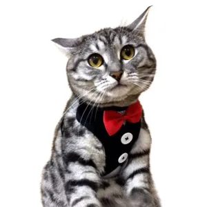 Adjustable Cat Vest Harness With Leash