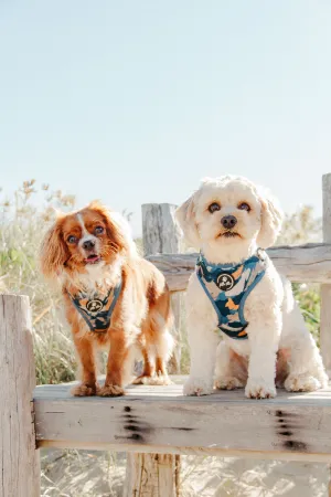 Adjustable Dog Harness | Splash of Camo
