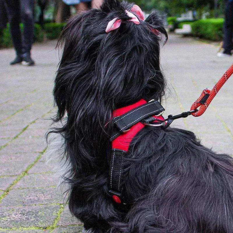 Adjustable Dog Harness Vest No-Pull Design