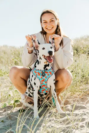 Adjustable Dog Harness | Watermelon