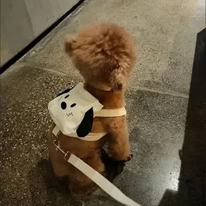 Adjustable Hands-Free Dog Harness Backpack