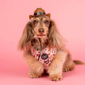 Adjustable Harness | Howdy