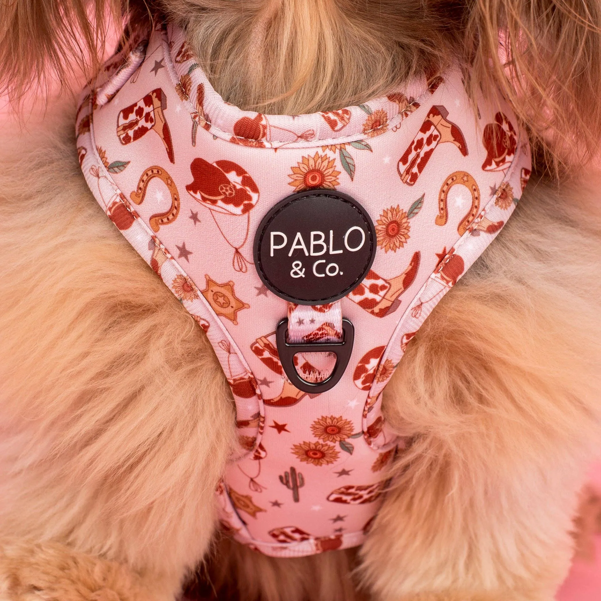 Adjustable Harness | Howdy