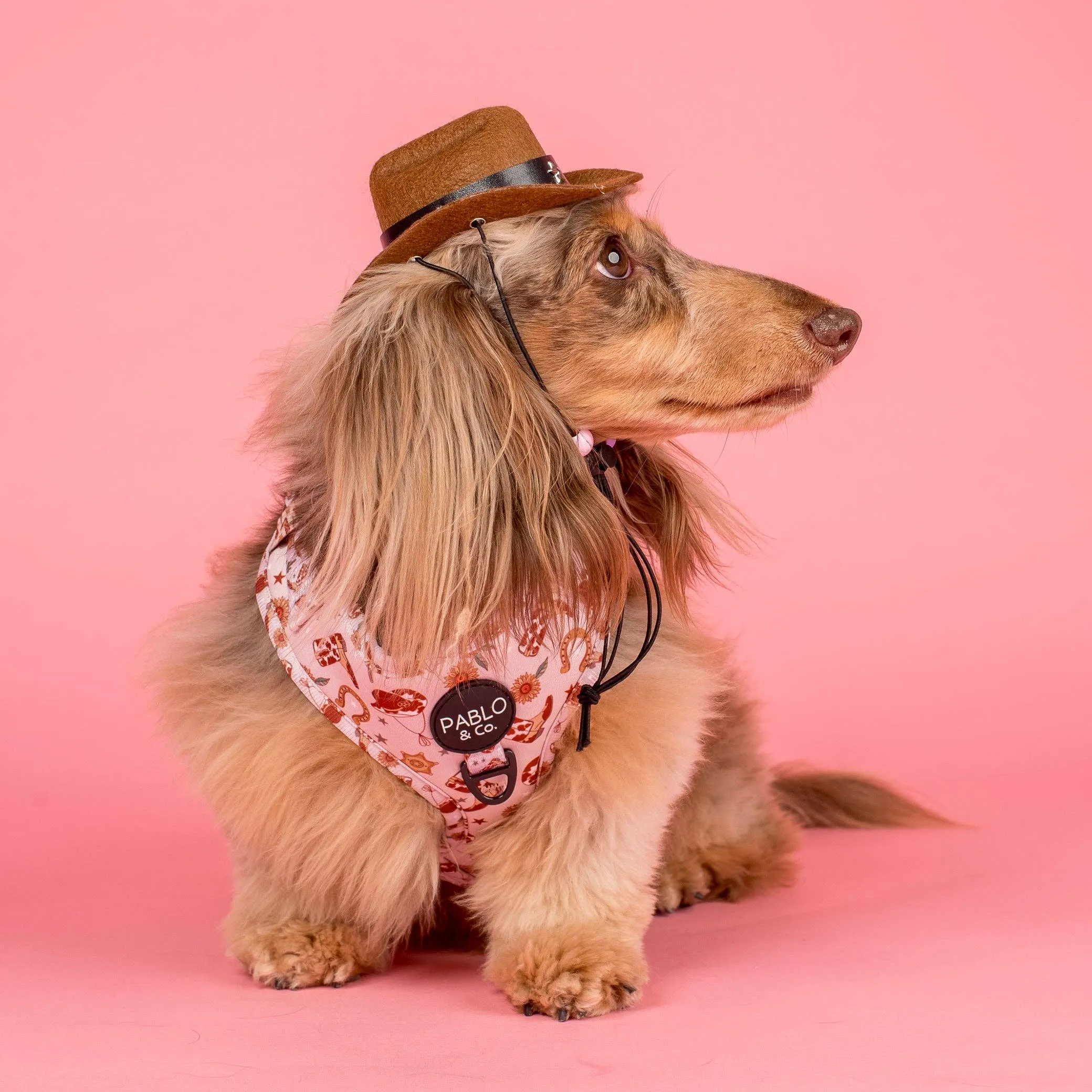 Adjustable Harness | Howdy