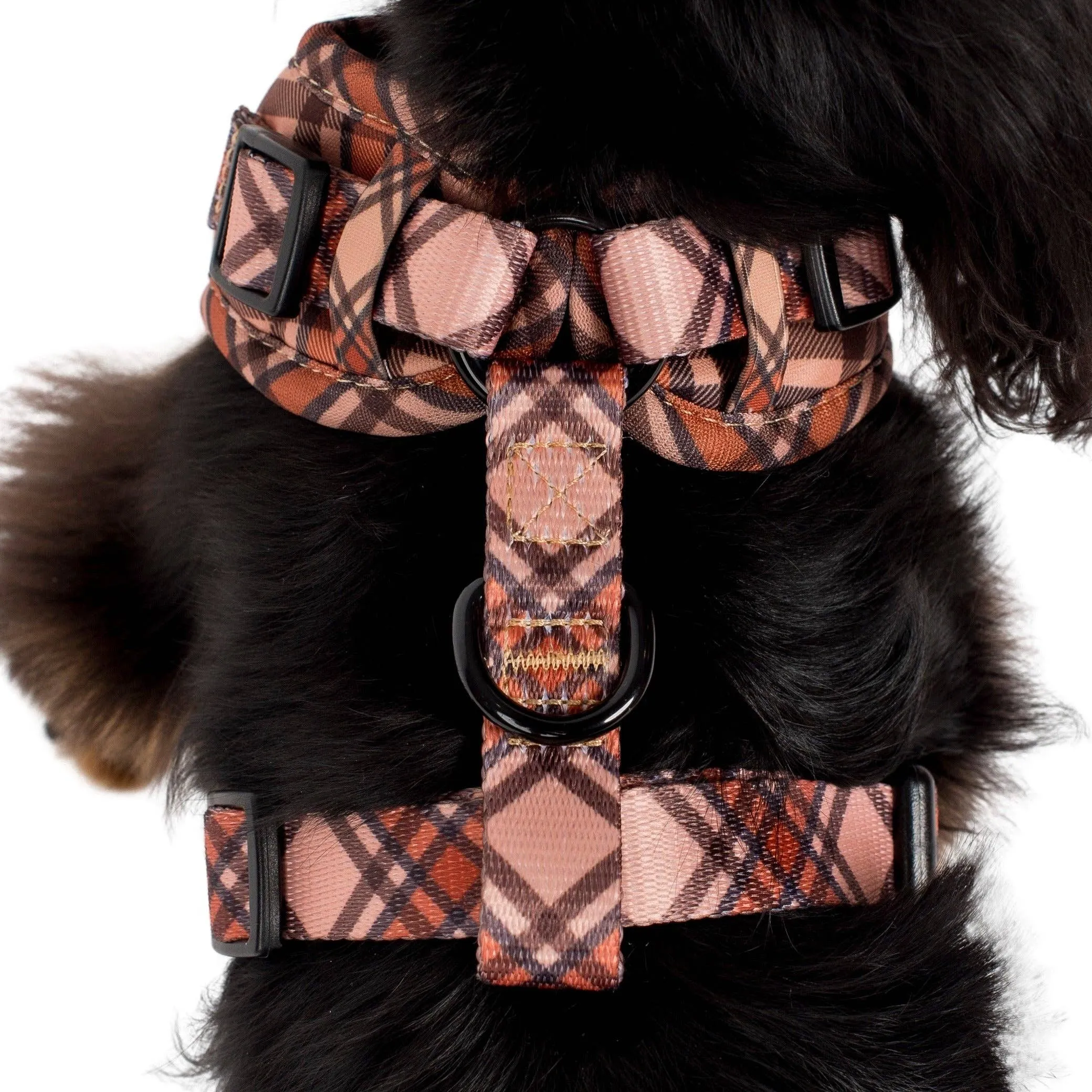 Adjustable Harness | Kensington