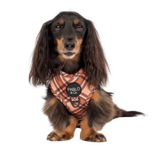 Adjustable Harness | Kensington