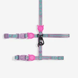 Aura Harness   Leash Set