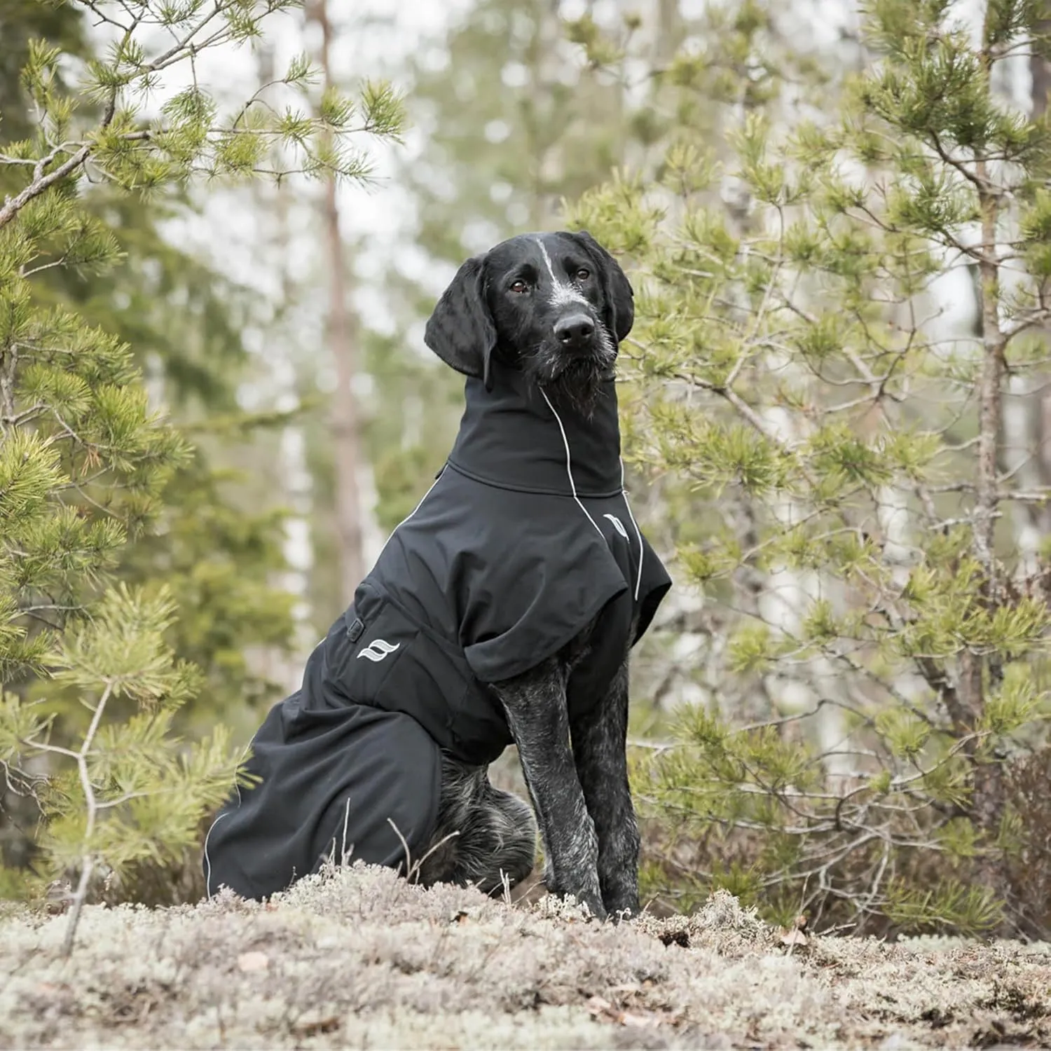 Back on Track Nella Therapeutic Low Tail Set Dog Coat with Reflective Details and Patterns - Ultimate Comfort & Protection for Active Dogs, Black, 55cm