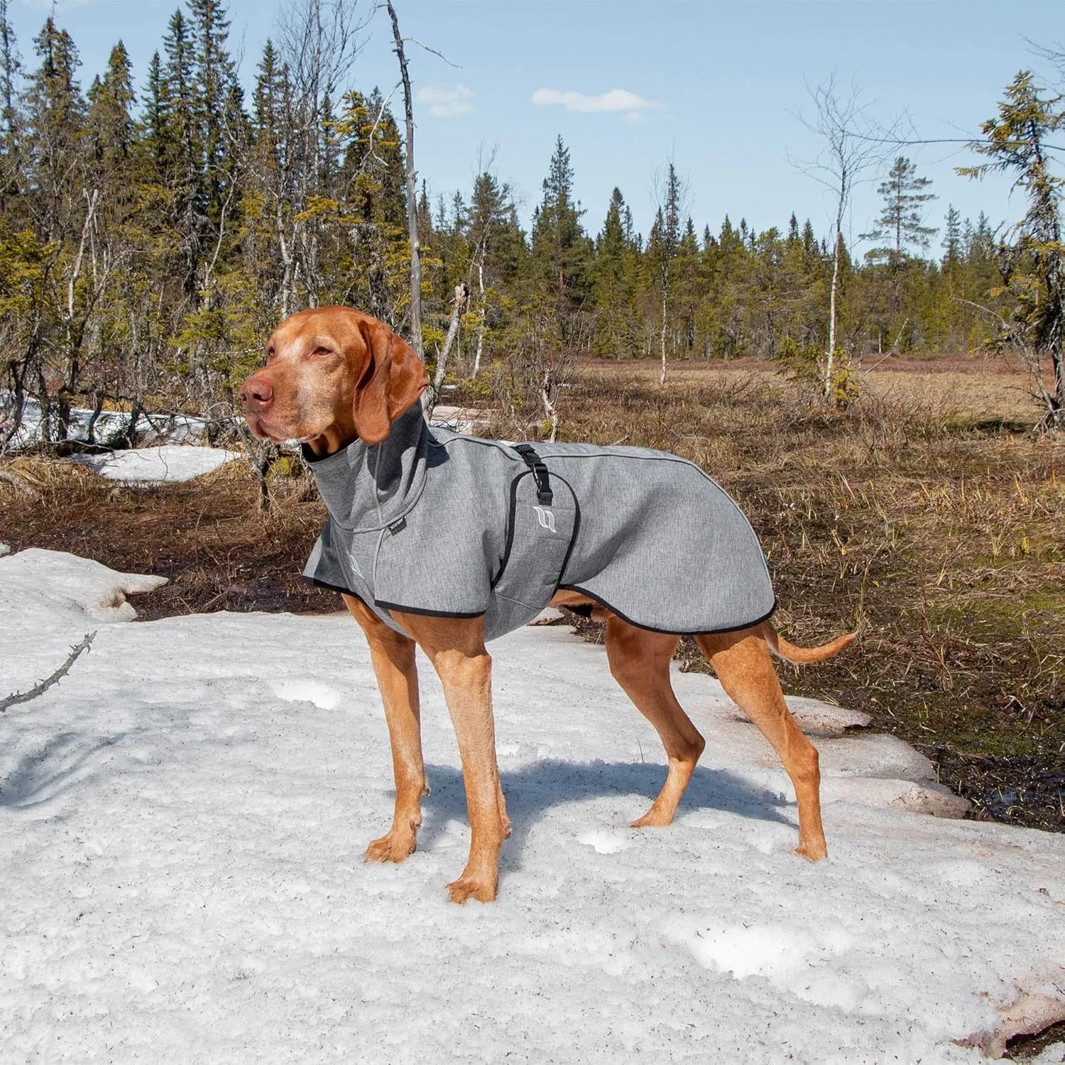 Back on Track Nella Therapeutic Low Tail Set Dog Coat with Reflective Details and Patterns - Ultimate Comfort & Protection for Active Dogs, Black, 55cm