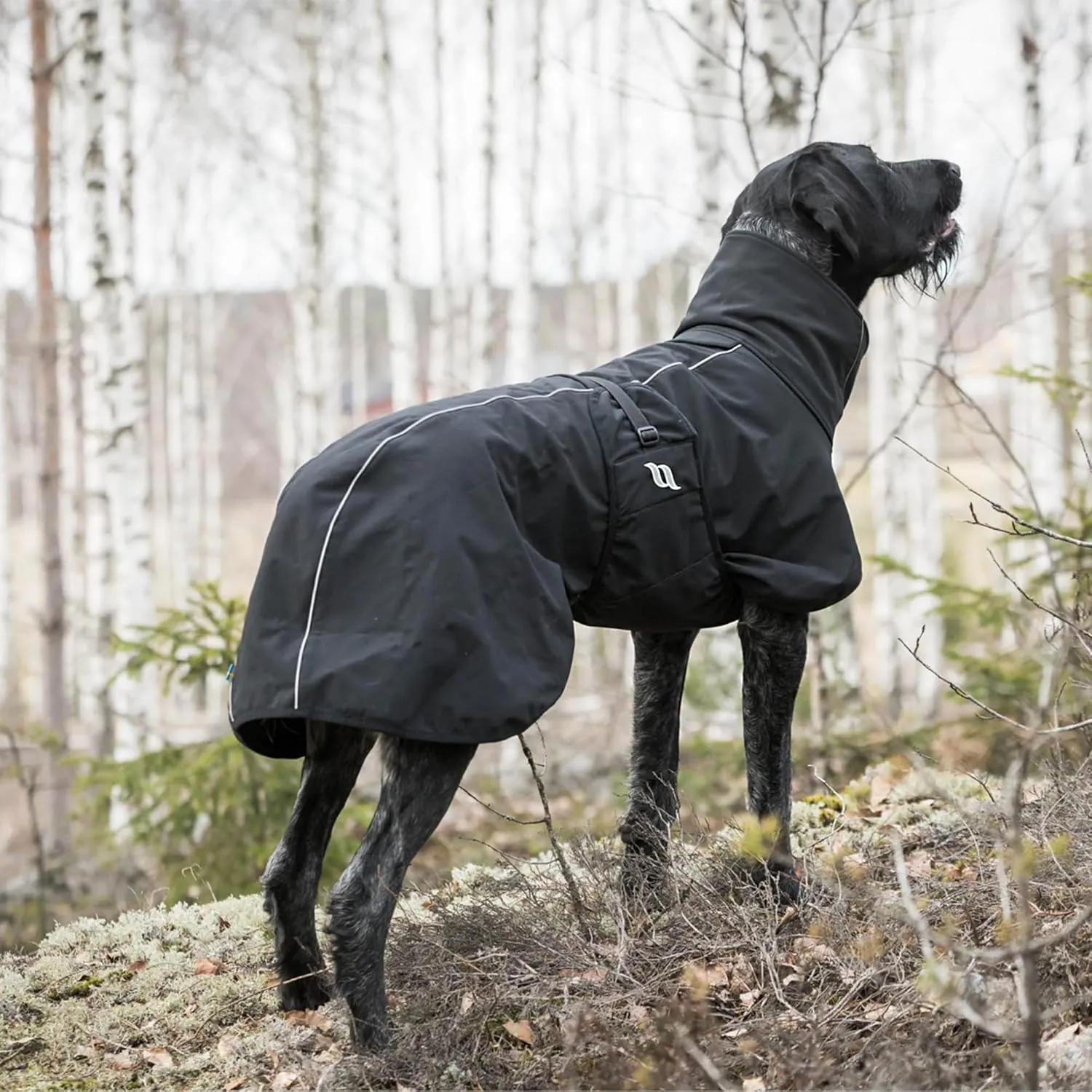 Back on Track Nella Therapeutic Low Tail Set Dog Coat with Reflective Details and Patterns - Ultimate Comfort & Protection for Active Dogs, Black, 55cm