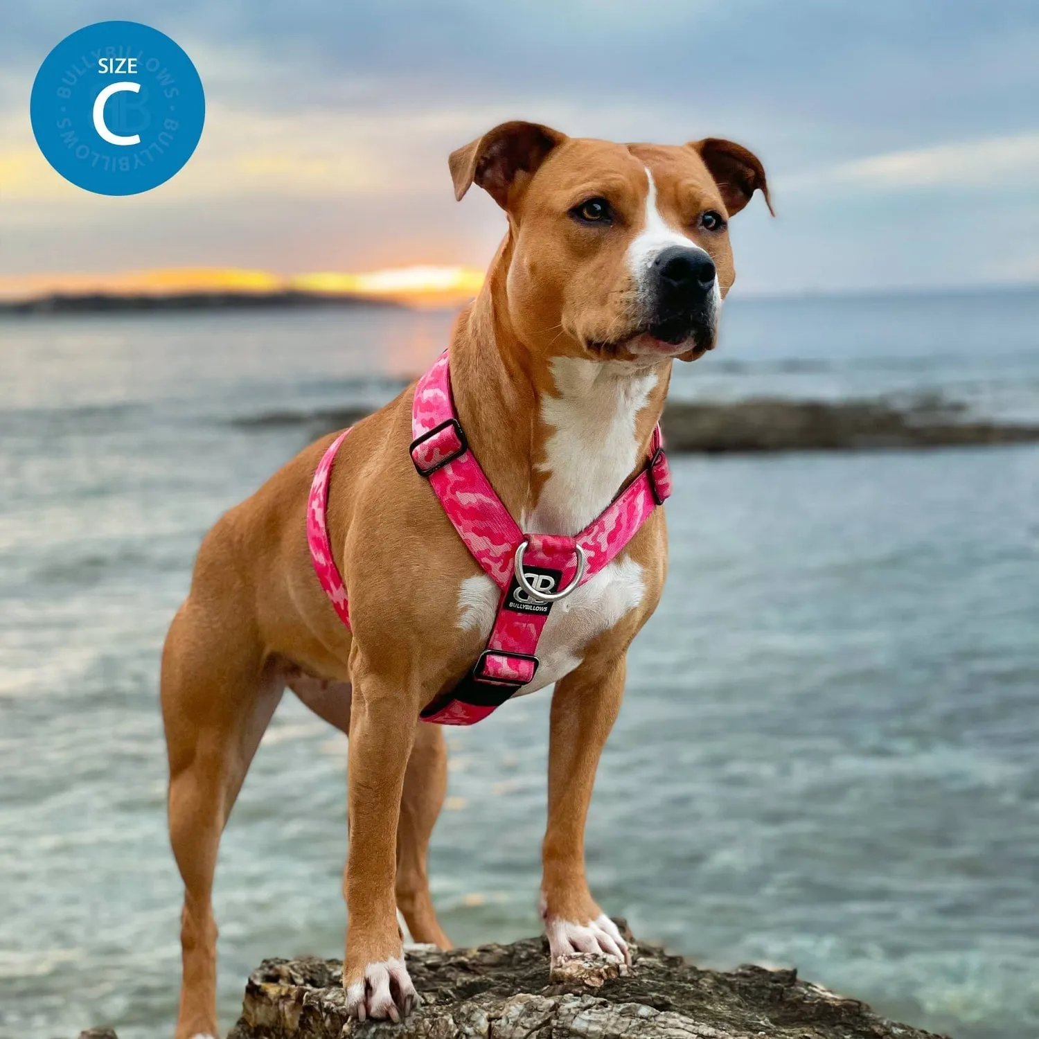 Bully Billows TRI-Harness® | Anti-Pull, Adjustable & Durable - Dog Trainers Choice - Red v2.0