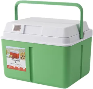 Camping Cooler Box Food Preservation Box for Outdoor Picnic Lightweight with Lock Lid Multifunctional with Carry Handle