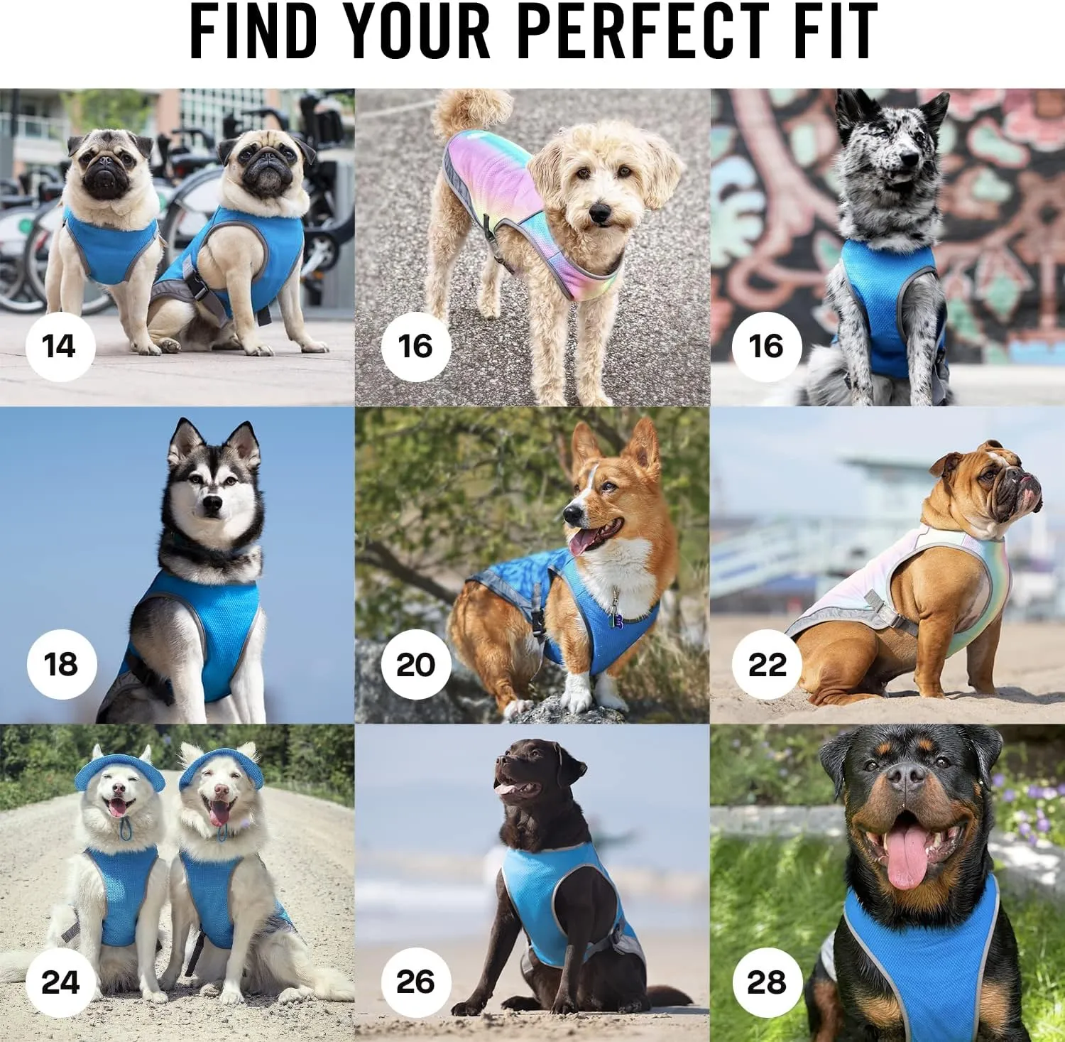 Canada Pooch Dog Cooling Vest - Evaporative Cooling Vest for Dogs with Breathable Mesh Material & Reflective Lining, Adjustable Dog Cooling Vest (32 (31-33" Back Length), Aqua)