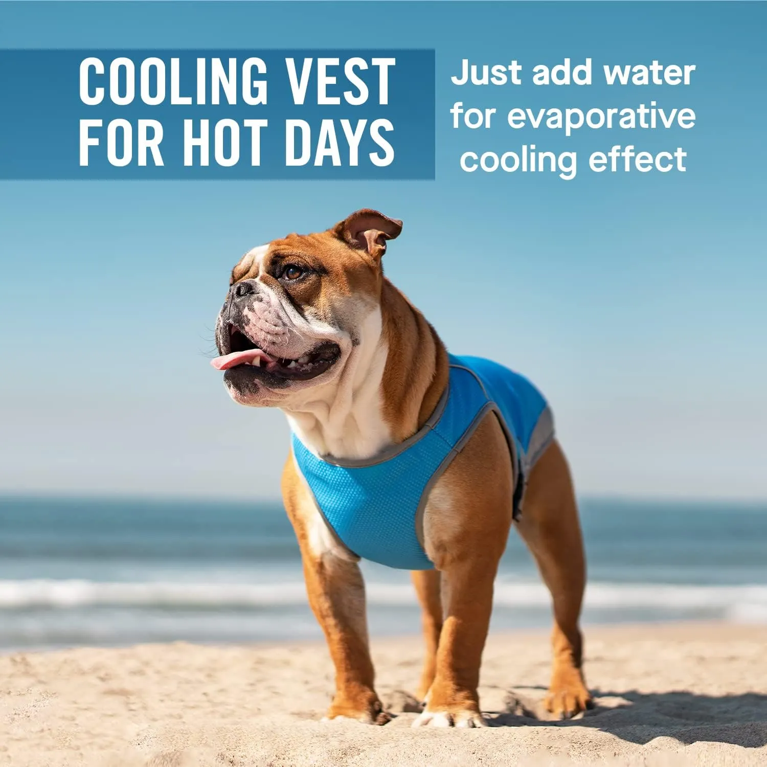 Canada Pooch Dog Cooling Vest - Evaporative Cooling Vest for Dogs with Breathable Mesh Material & Reflective Lining, Adjustable Dog Cooling Vest Great for Dogs 22 (21-23" Back Length), Aqua