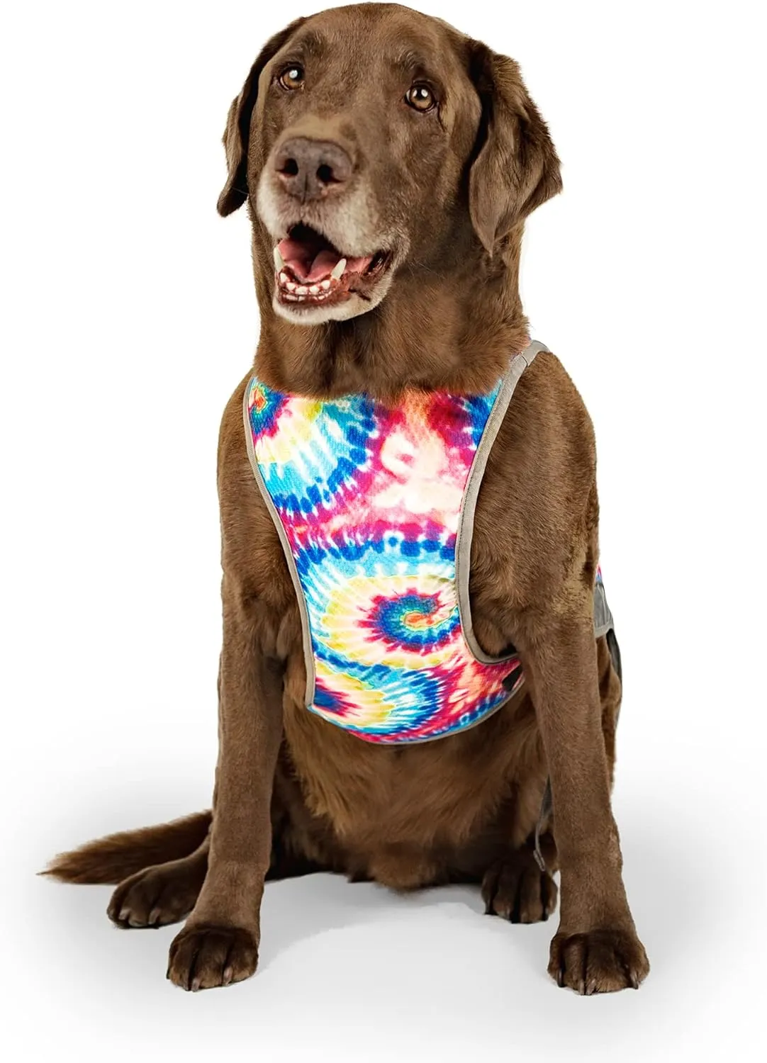 Canada Pooch Dog Cooling Vest - Evaporative Cooling Vest for Dogs with Breathable Mesh Material & Reflective Lining, Adjustable for Dogs 32 (31-33" Back Length), Tie Dye