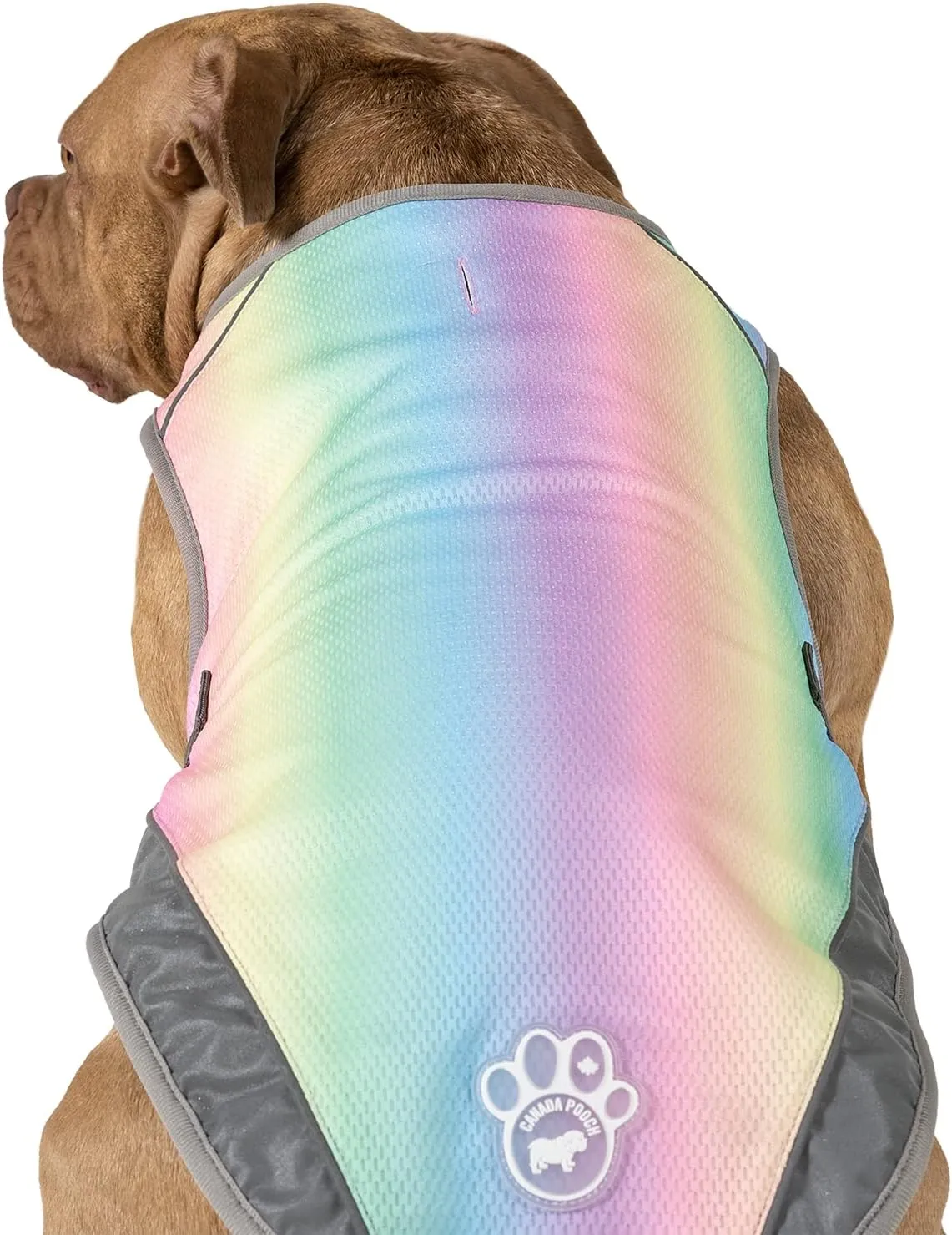 Canada Pooch Dog Cooling Vest - Evaporative Cooling Vest for Dogs with Breathable Mesh Material & Reflective Lining, Adjustable for Dogs 8 (7-9" Back Length), Rainbow