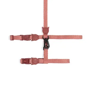 Canyon Harness   Leash Set