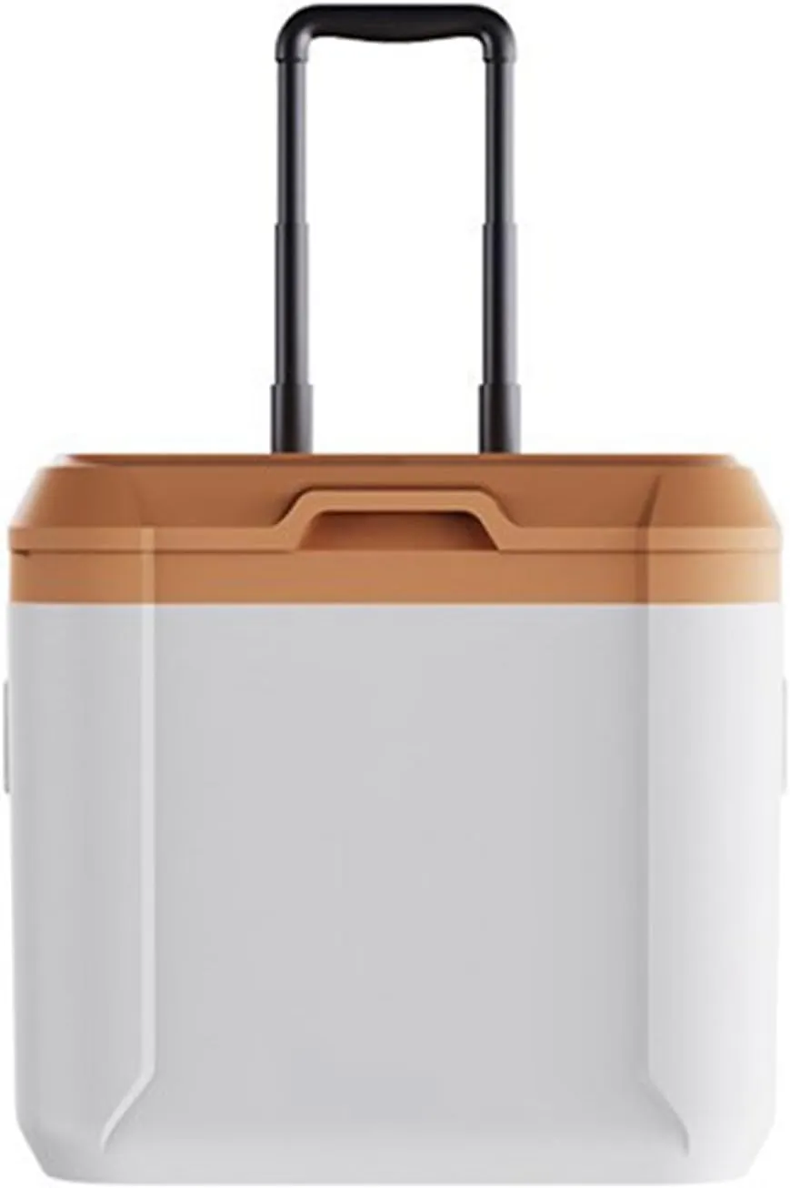 Car Camping Coolers for Transit-150/250/350 2015-2019, Leak Proof Cooler, Portable Lightweight Ice Chest Box, Compartments Waterproof Insulated Bag,B-Brown