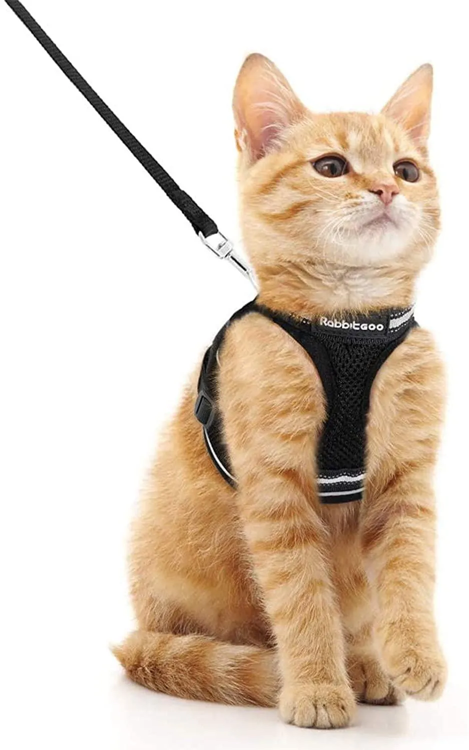 Cat Harness and Leash for Walking