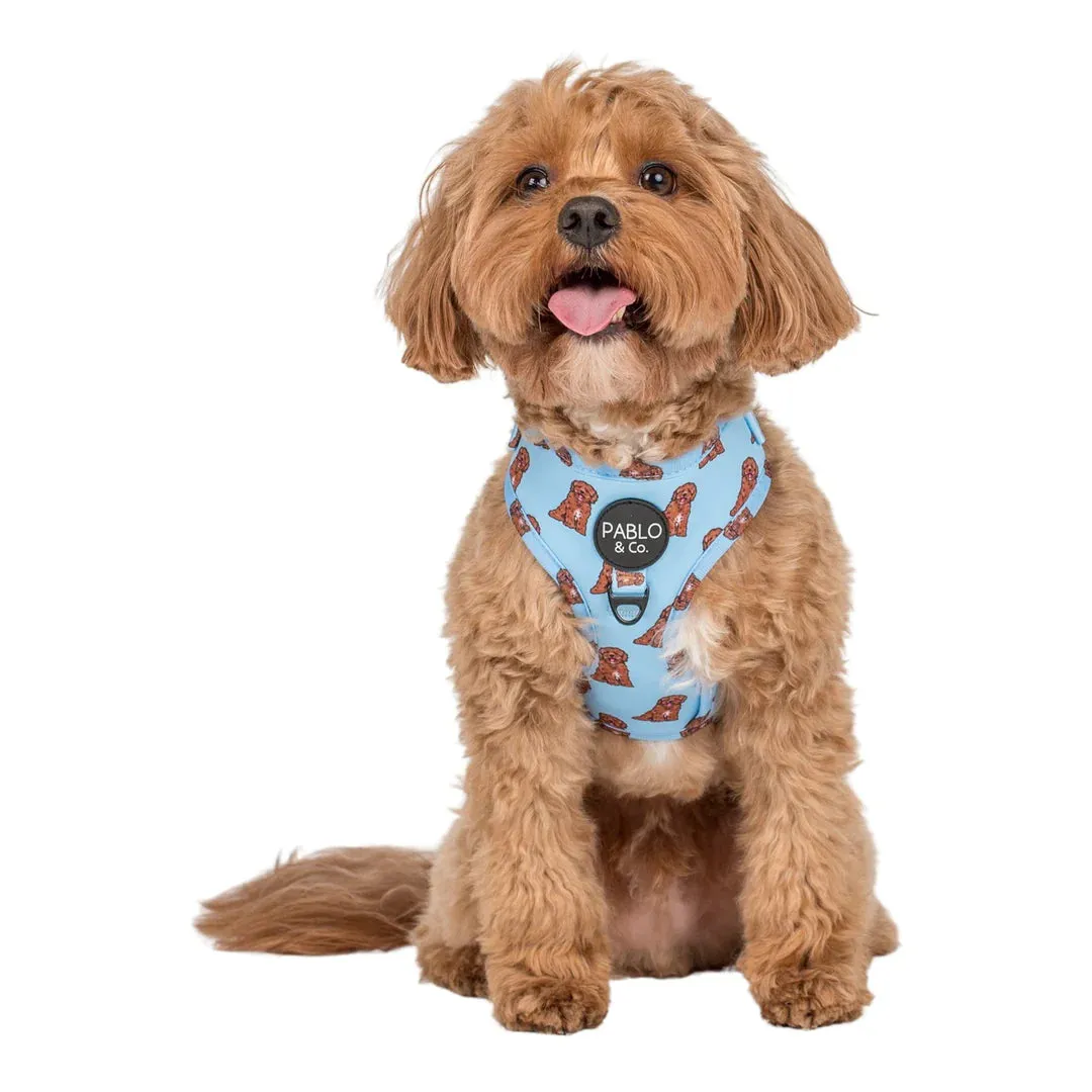 Cavoodle Adjustable Harness