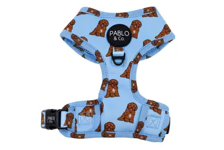 Cavoodle Adjustable Harness