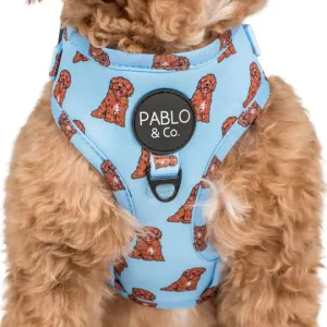 Cavoodle Adjustable Harness