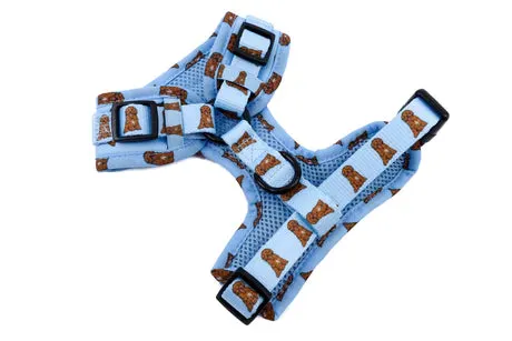 Cavoodle Adjustable Harness