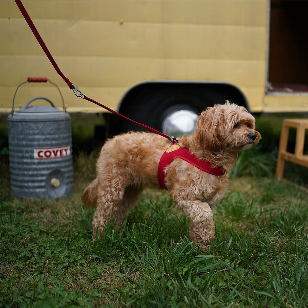 Charlie's Backyard Adjustable Easy Harness Red