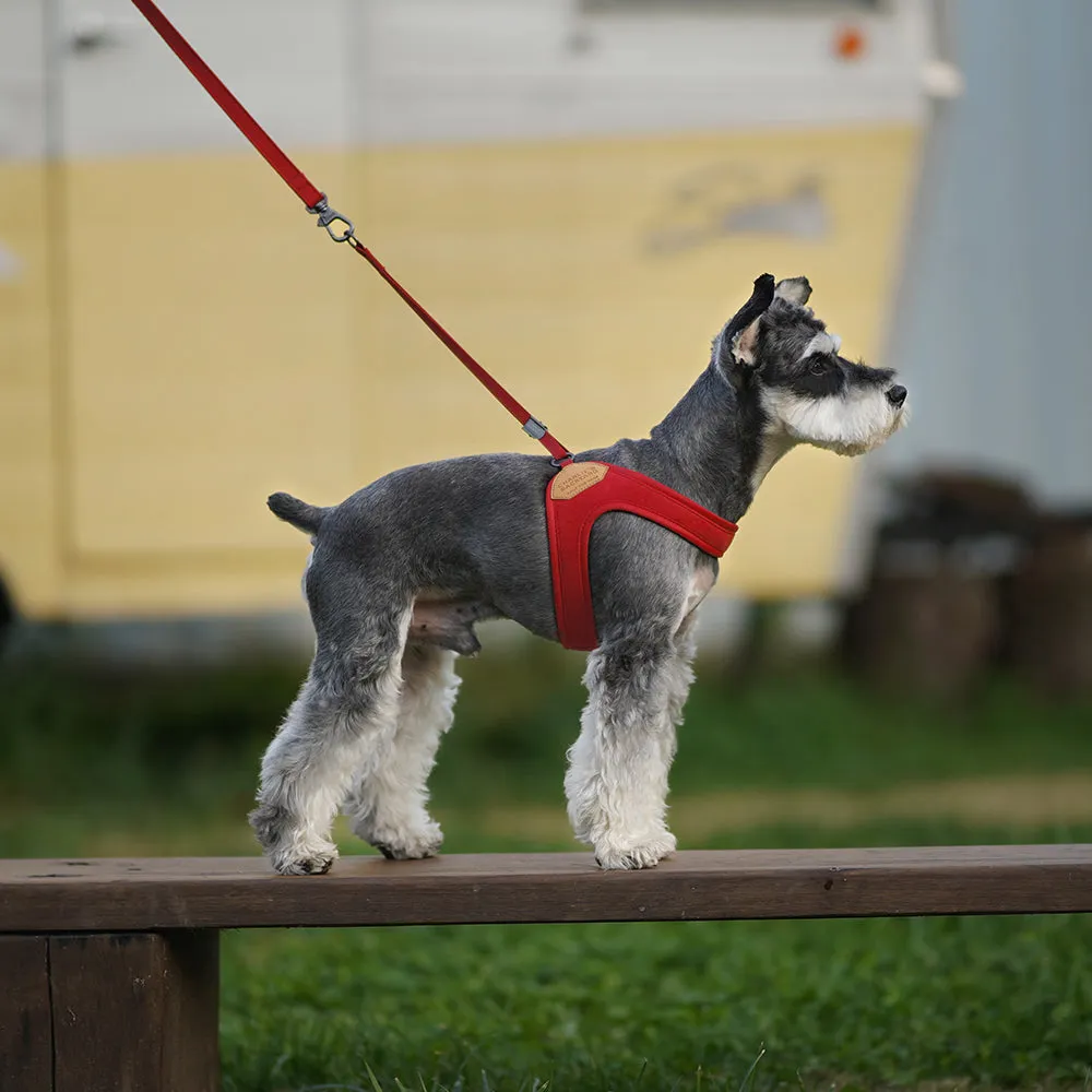 Charlie's Backyard Adjustable Easy Harness Red