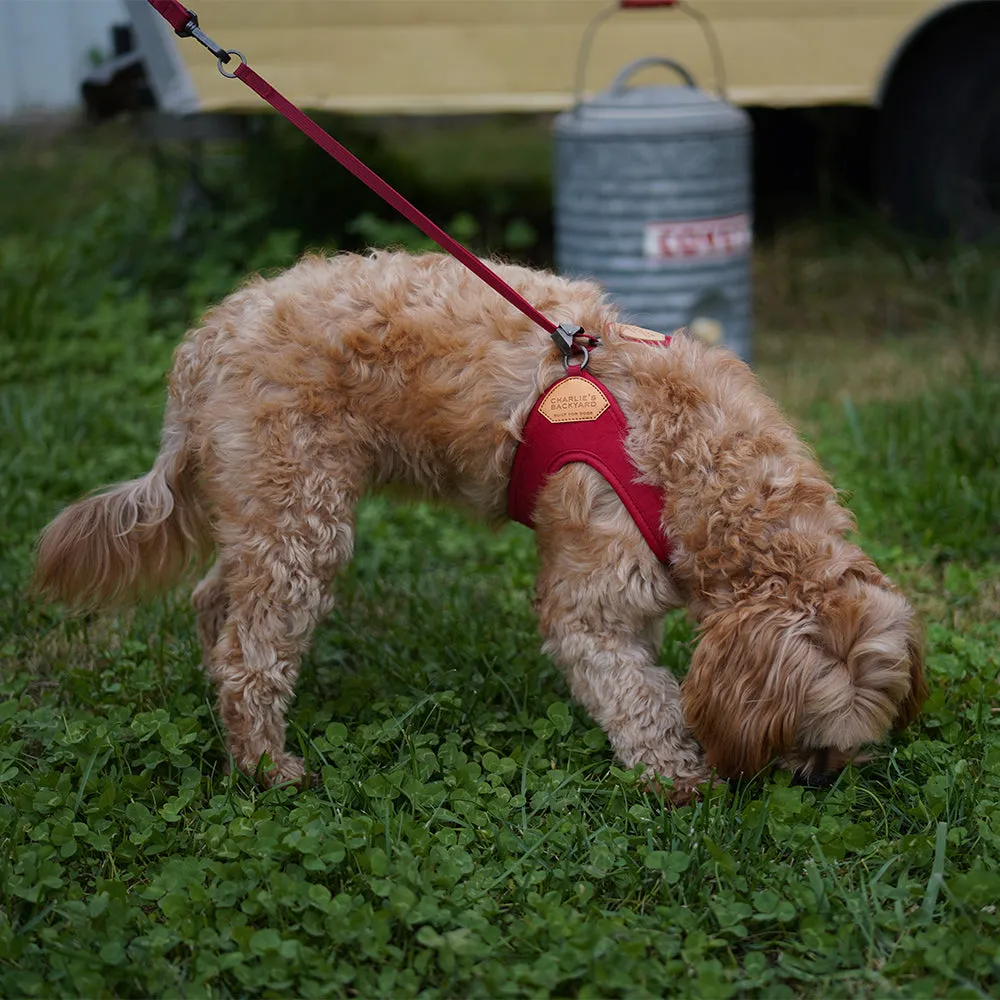 Charlie's Backyard Adjustable Easy Harness Red