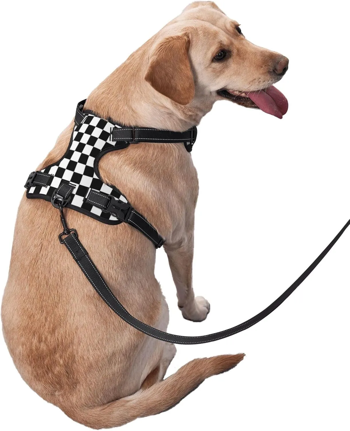 Checkered Racing Flag Soft Padded Dog Harness Vest for Small Medium Large Dogs, Reflective No Pull Puppy Dog Pet Vest Leash Set for Walking Training Running