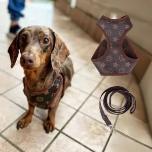 Chewy Brown Dachshund Harness and Leash Set