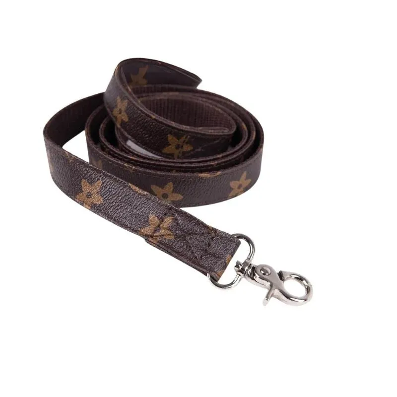 Chewy Brown Dachshund Harness and Leash Set