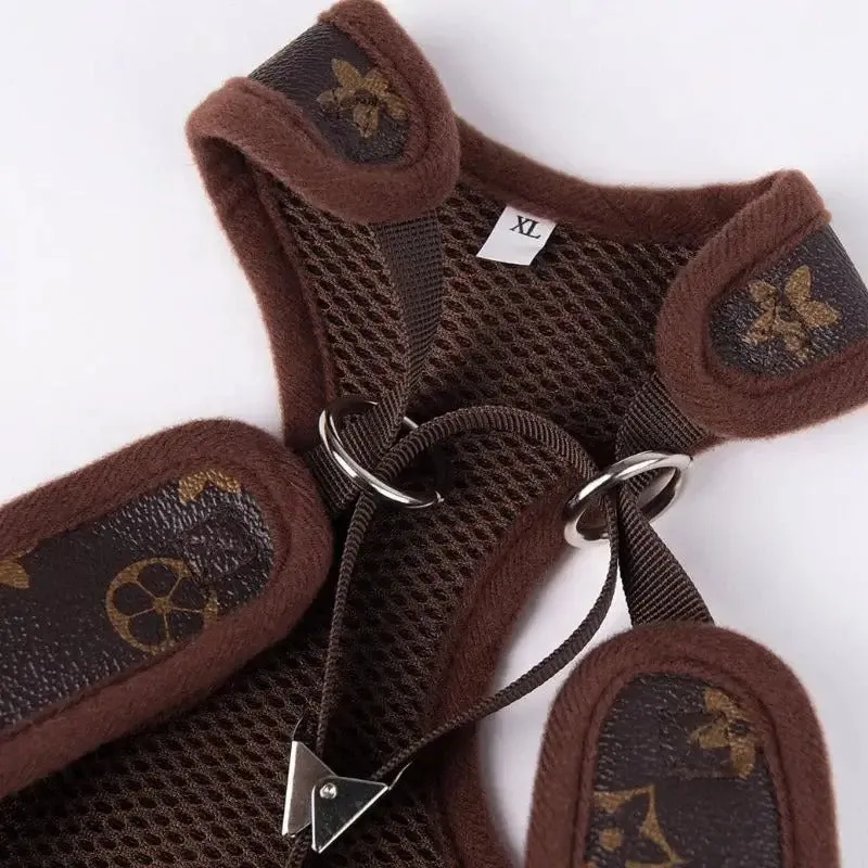 Chewy Brown Dachshund Harness and Leash Set