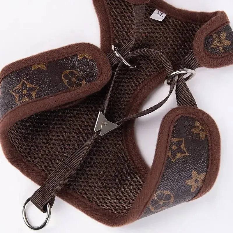 Chewy Brown Dachshund Harness and Leash Set