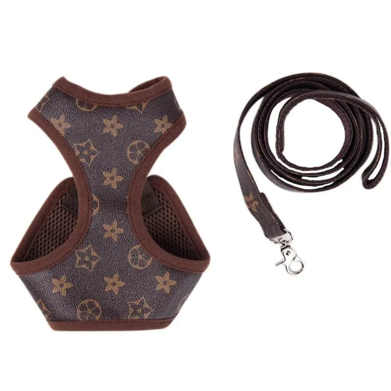Chewy Brown Dachshund Harness and Leash Set