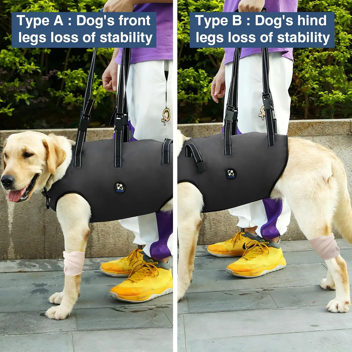 Coodeo Dog Lift Harness, Pet Support & Rehabilitation Sling Lift Adjustable Padded Breathable Straps for Old, Disabled, Joint Injuries, Arthritis, Loss of Stability Dogs Walk (Grey, M)