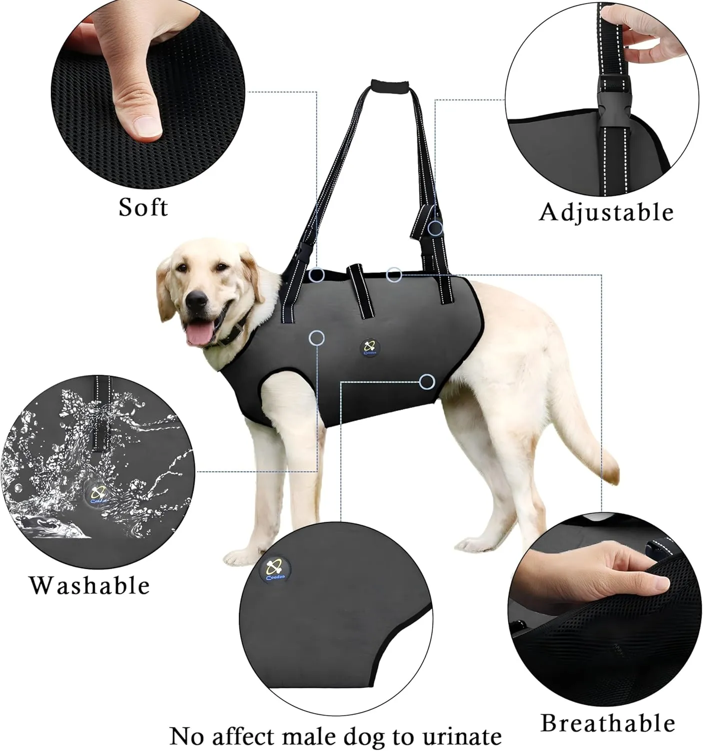 Coodeo Dog Lift Harness, Pet Support & Rehabilitation Sling Lift Adjustable Padded Breathable Straps for Old, Disabled, Joint Injuries, Arthritis, Loss of Stability Dogs Walk (Grey, M)