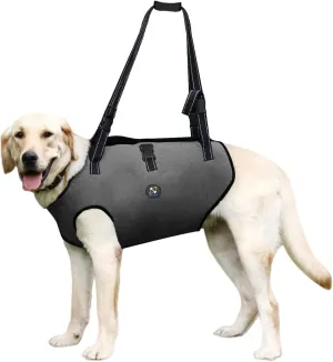 Coodeo Dog Lift Harness, Pet Support & Rehabilitation Sling Lift Adjustable Padded Breathable Straps for Old, Disabled, Joint Injuries, Arthritis, Loss of Stability Dogs Walk (Grey, M)