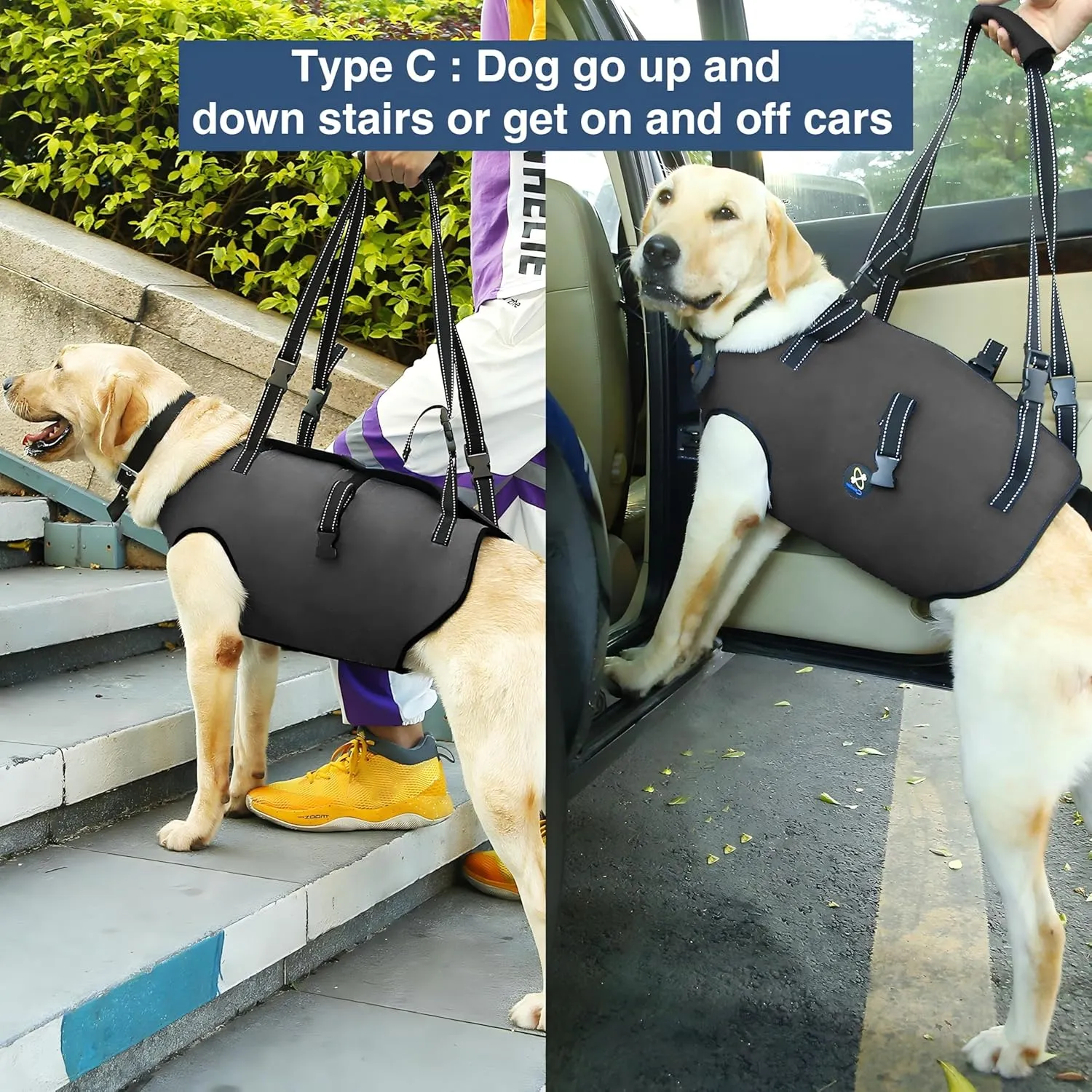Coodeo Dog Lift Harness, Pet Support & Rehabilitation Sling Lift Adjustable Padded Breathable Straps for Old, Disabled, Joint Injuries, Arthritis, Loss of Stability Dogs Walk (Grey, M)