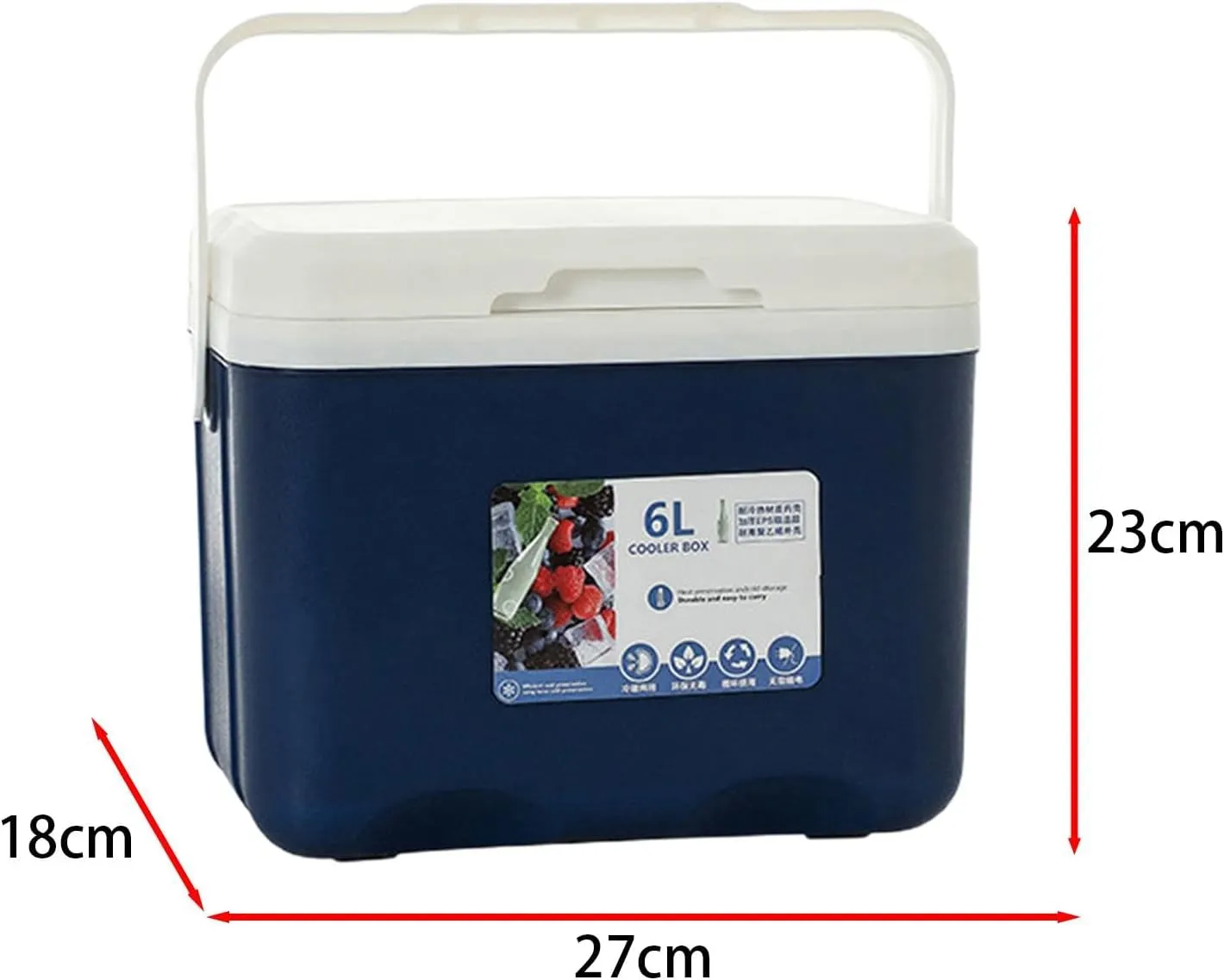 Cooler Box Ice Box 6L Personal with Handle for Freeze/Hot Food Ice Chest Small Insulated Box for Beach Camping Stall Outdoor