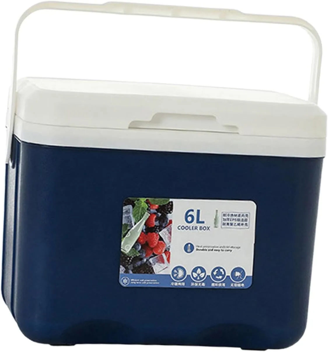 Cooler Box Ice Box 6L Personal with Handle for Freeze/Hot Food Ice Chest Small Insulated Box for Beach Camping Stall Outdoor