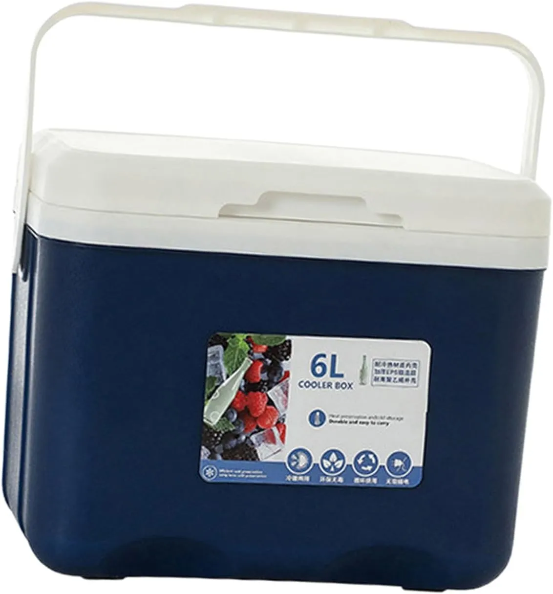 Cooler Box Ice Box 6L Personal with Handle for Freeze/Hot Food Ice Chest Small Insulated Box for Beach Camping Stall Outdoor